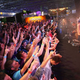 Illustration for article titled The Many, Many Games of Germanys Raucous, Raging Game Party